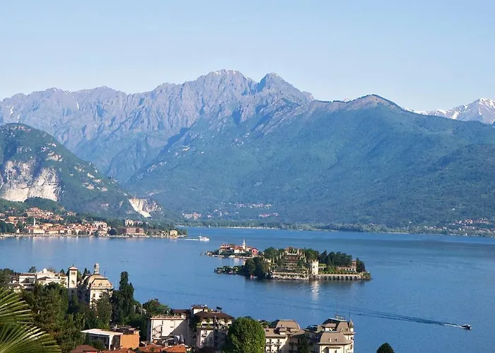 Fiore Rosso Stresa